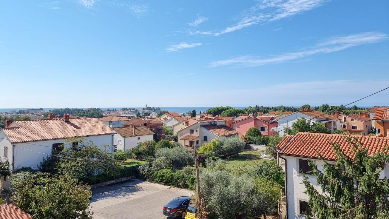 Marinela Studio Novigrad  Exterior photo