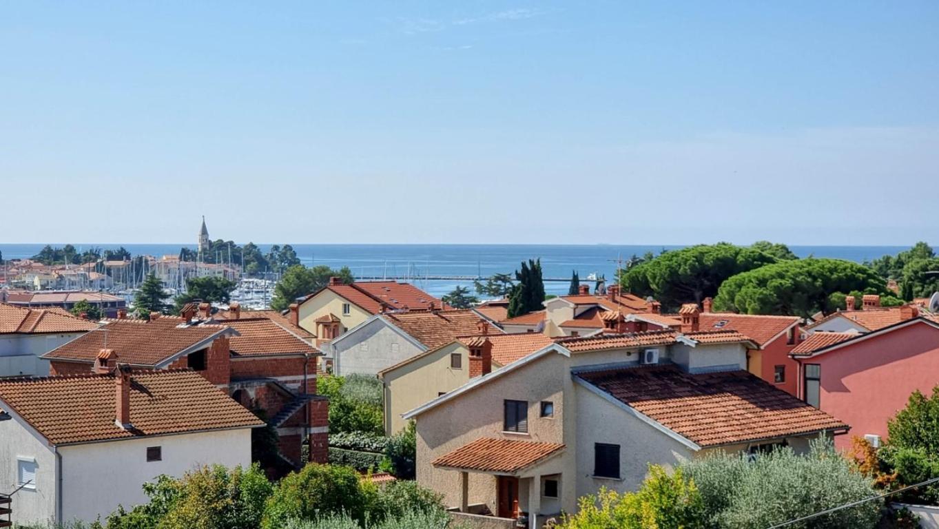 Marinela Studio Novigrad  Exterior photo